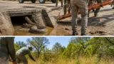 12-foot rock python rescued near drain in Ujjain village, released into Kheoni sanctuary