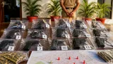 Amritsar police dismantle six illegal arms networks; eight arrested, 13 pistols seized