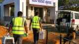 Belagavi civic body to set up two permanent stray dog sterilisation centres
