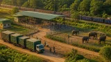Bokaro to Get Elephant Transit and Treatment Centre as Jharkhand Expands Rescue Network