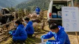 Central and Arunachal teams mount joint response as FMD outbreak hits Dibang Valley