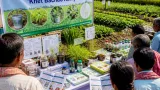Centre launches 'Khet Bachao Abhiyan‑Rabi 2026' from Karnal; campaign to run till Nov 30