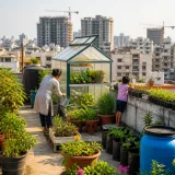 Rising costs and city growth spur India’s turn to small-scale vegetable gardens