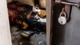 Faridabad: Woman Allegedly Scalded with Boiling Water, Locked in Room for Days
