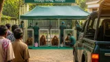 Five baby orangutans rescued from Balasore forest; officials suspect wildlife-smuggling link