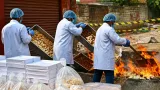 Ghaziabad food-safety drive destroys quintals of unhygienic sweets ahead of festivals