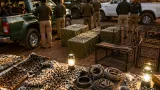 Interstate leopard poaching ring busted in MP; investigators probe links to Delhi NGO