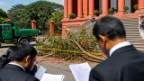 Karnataka HC directs BBMP, school to pay ₹2.8 crore after Bengaluru man injured by falling tree branch