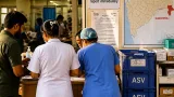 Maharashtra declares snakebite notifiable; hospitals must report cases, track anti-venom stocks