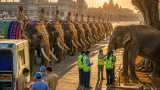 Mysuru Dasara 2026: Abhimanyu Retired at 60, 12 Elephants Cleared for Gajapayana