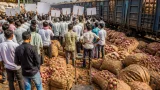 Nashik farmers stop 'Onion Express' at Lasalgaon, raise concerns over rotten consignments