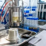 Engineered bacteria use mussel protein fragments to make silk fibres up to 345% stronger