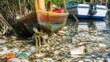 Single-use plastics clog Uppar drain, threaten Ariyankuppam River and Thengaithittu backwaters