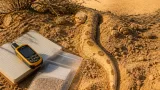 Sistan sand boa recorded in Rajasthan’s Sikar district — first scientific record from India