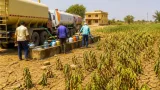 Solapur faces early drought scare as 42 villages rely on tanker water amid scant rain