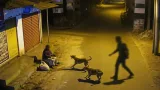 Stray dogs chase off alleged attacker; minor arrested in Thudiyalur, Coimbatore