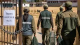 Ten schools closed in Chamoli after stray dog attacks; teams deployed to capture suspected animals