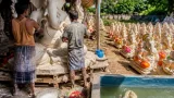 Tiruchirappalli artisans make tapioca-based eco-friendly Ganesha idols ahead of Vinayaka Chaturthi