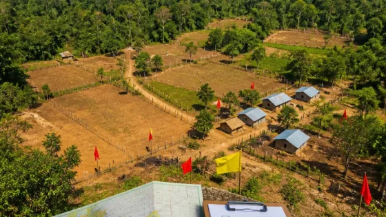 Jabalpur: Over 3,000 Acres of Forest Land Found Encroached; Task Force to Review Cases