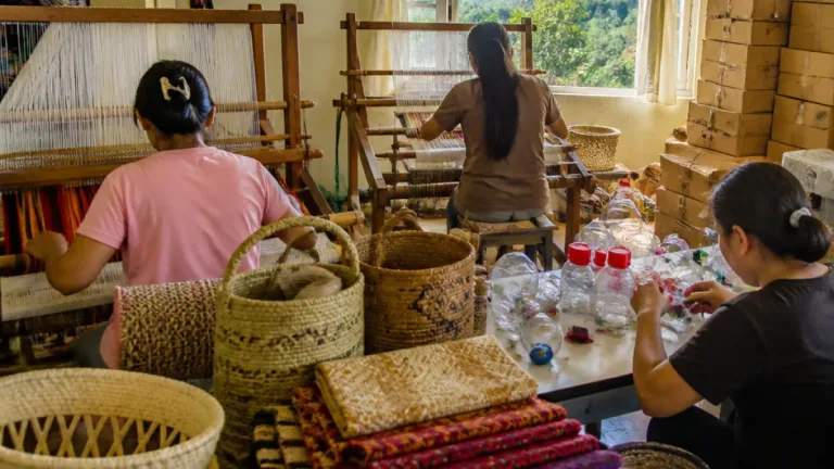 Bodhi Bloom Society links 500 tribal artisans in Mizoram to markets, seeks to scale up production