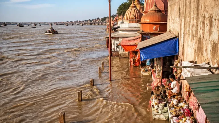 Rising Ganga and Yamuna push Sangam shorelines closer in Prayagraj, low-lying areas inundated