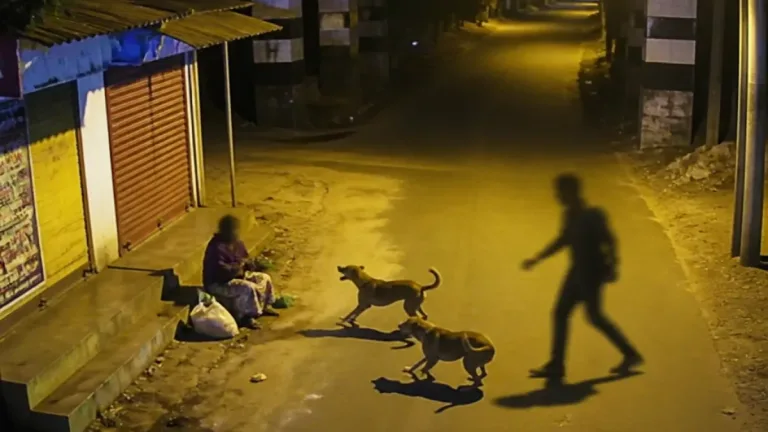 Stray dogs chase off alleged attacker; minor arrested in Thudiyalur, Coimbatore