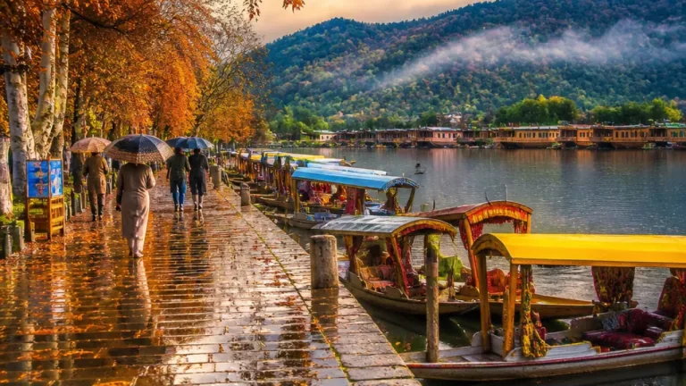Wet July ends eight-month dry spell in Jammu and Kashmir; UT records 35% rainfall surplus