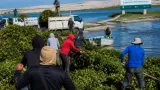 Arranca limpieza en la Laguna de San Julián para recuperar el Archipiélago de Lagunas Interdunarias