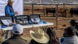 Chihuahua intensifica capacitación y entrega kits ante brote de gusano barrenador en bovinos