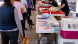 Chimalhuacán refuerza programa de bienestar animal: 150 mascotas esterilizadas en jornada local