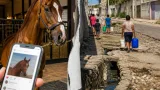 Comitán: críticas por ostentación de caballos del alcalde mientras calles y agua siguen pendientes