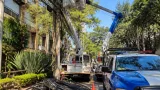 Cuauhtemoc acuerda retiro y reordenamiento de cableado en 33 colonias