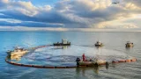 Derrame de Pemex moviliza a autoridades y embarcaciones desde Ciudad del Carmen