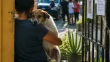 En Chetumal amenazan a rescatista de animales tras salvar a un perro; denuncia desprotección