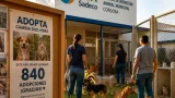 En Cordoba disminuyen los abandonos: Sadeco registra 840 animales en el SBA hasta agosto
