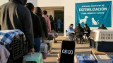 Fresnillo: campaña gratuita de esterilización busca controlar la población de perros y gatos