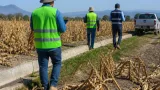Gobierno de Tlaxcala refuerza evaluaciones y supervisiones por daños agrícolas causados por la sequía
