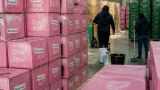 IEM recupera 1,391 cajas rosas para reducir costos y abastecer comicios de 2027