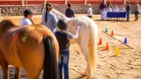 Jesus Maria pone en marcha segunda etapa de equinoterapia para menores con discapacidad