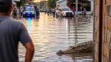 Lluvias en Ciudad Madero dejan inundaciones y la aparición de cocodrilos en zonas habitadas