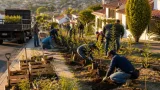 Morelia impulsa reforestación urbana ligada al proyecto Morebús: primera jornada el 23 de agosto