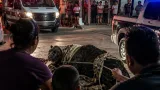 Pantera se escapa en Lerdo y ataca a una mujer; familia captura al felino en la calle