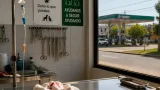 Perrita 'Valiente Maravilla' permanece hospitalizada tras recibir un disparo al defender a trabajadoras en Puebla