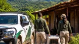 Profepa asegura a cachorra de tigrillo en Tecpaco; será rehabilitada en Pachuca