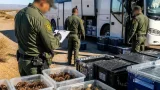 Profepa asegura en Colima seis pericos en condiciones insalubres y los traslada a unidad de conservación
