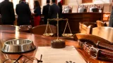 Proponen en SLP que convenios de divorcio determinen quién cuidará a las mascotas