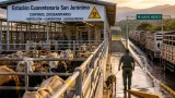 Reanudarán exportaciones de ganado desde San Jerónimo a EU el 24 de septiembre; tensión sanitaria y comercio al centro