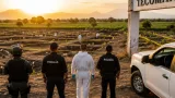 Tecomán concentra 81% de las fosas clandestinas registradas en Colima en 18 años