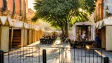 Valladolid: proponen cerrar el centro al tráfico durante las Fiestas para priorizar peatones
