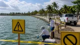 Yucatán investiga muerte por probable meningoencefalitis amebiana primaria; cierran sitio recreativo